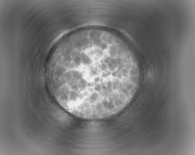 X0000082171266200702021717