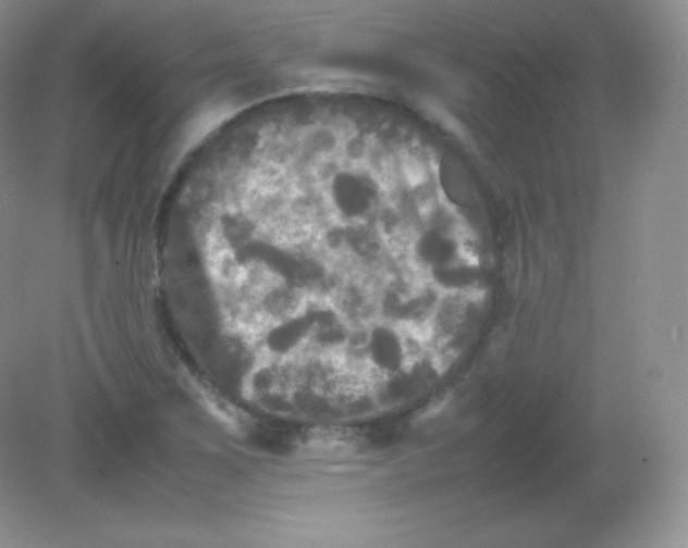 X0000082171267200702021717