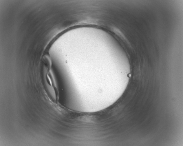 X0000082171268200702021717