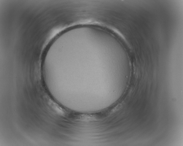 X0000082171270200702021717