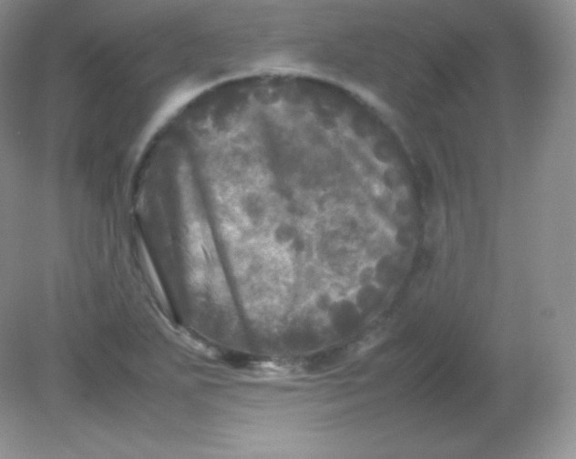 X0000082171271200702021717