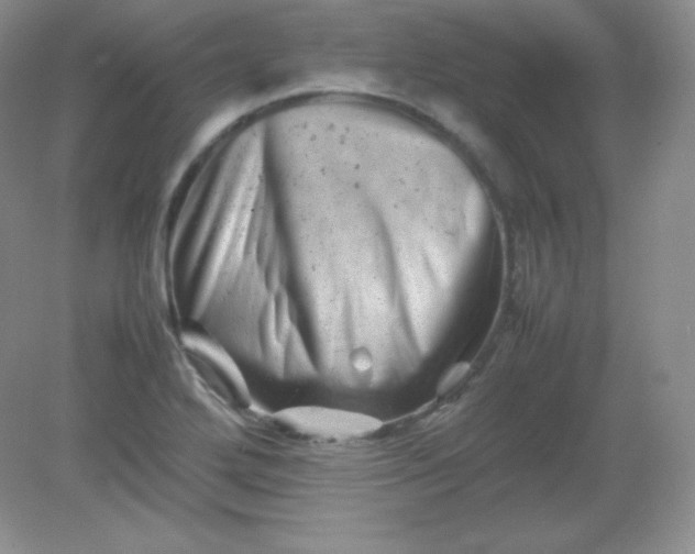 X0000082171272200702021717