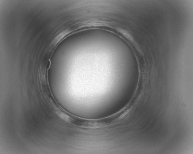 X0000082171273200702021717