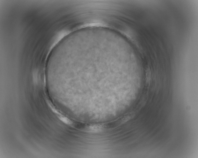 X0000082171274200702021717