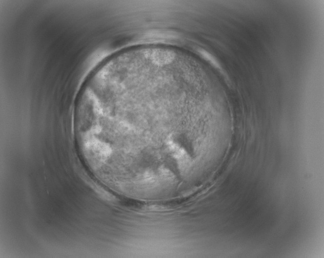 X0000082171275200702021717