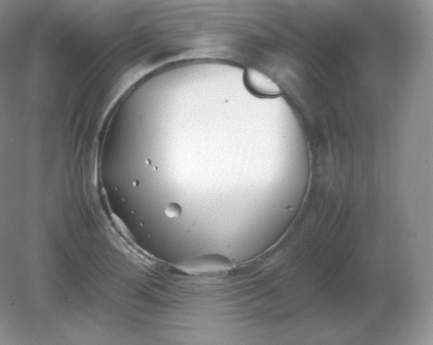 X0000082171276200702021717