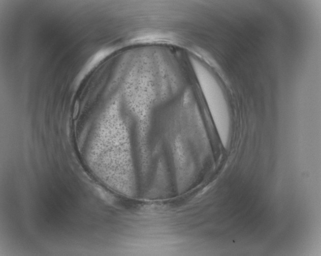 X0000082171277200702021717