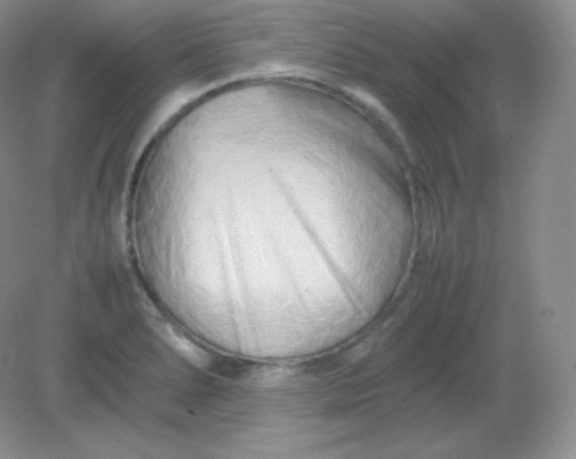 X0000082171278200702021717