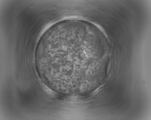 X0000082171279200702021717