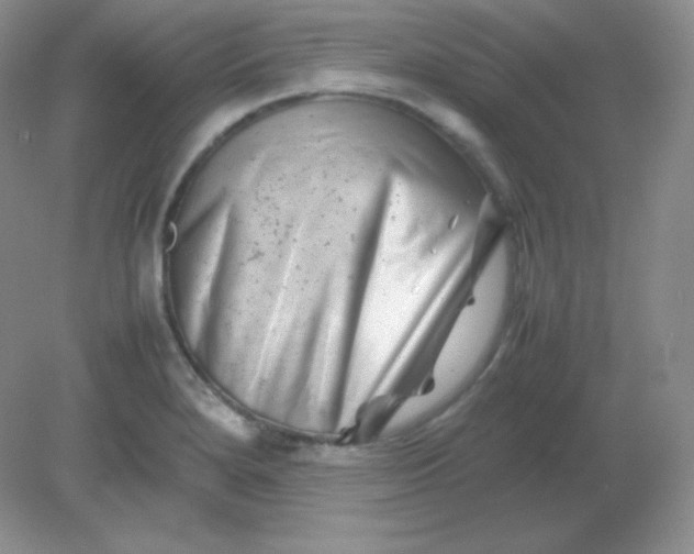 X0000082171280200702021717