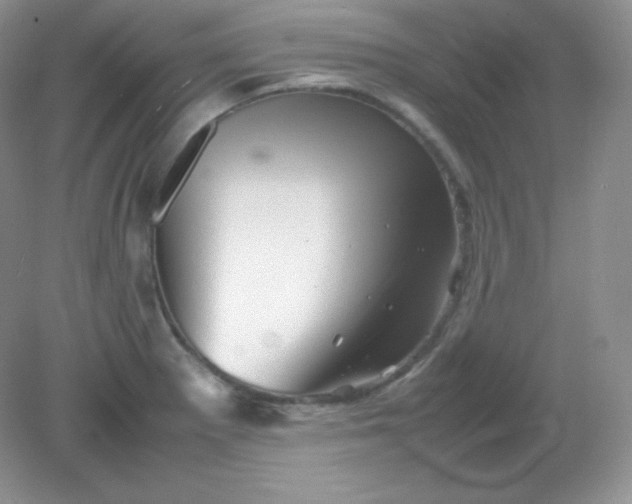 X0000082171281200702021717