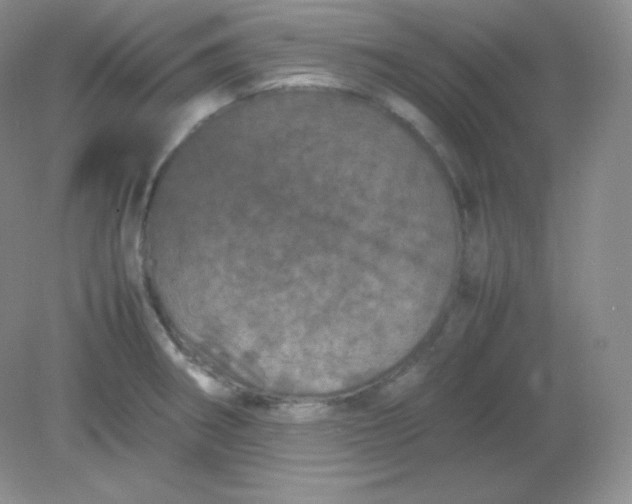 X0000082171282200702021717