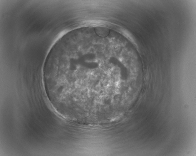 X0000082171283200702021717