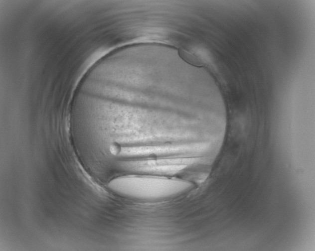 X0000082171284200702021717