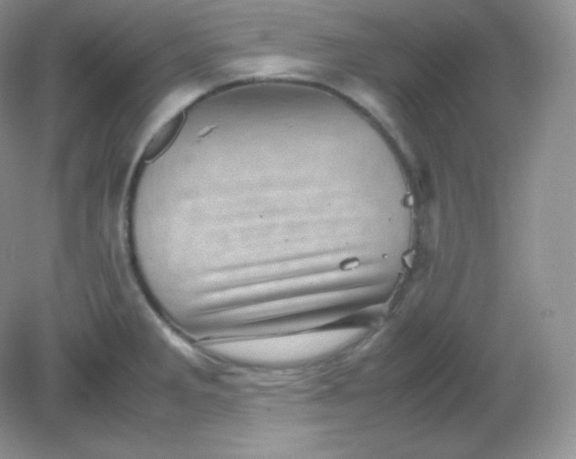 X0000082171285200702021717