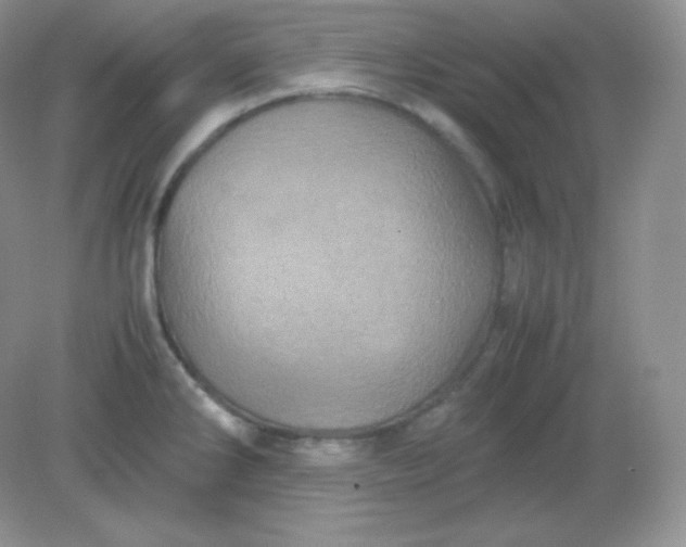 X0000082171286200702021717