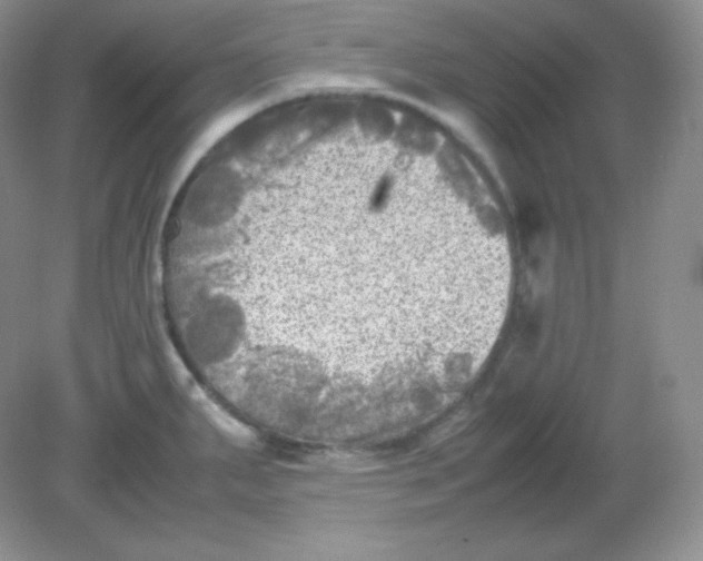 X0000082171287200702021717