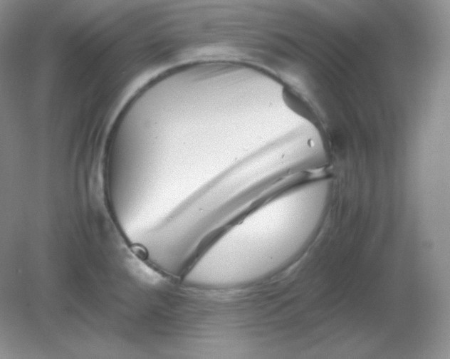 X0000082171288200702021717