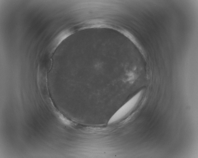 X0000082171289200702021717