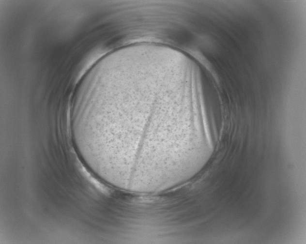 X0000082171290200702021717