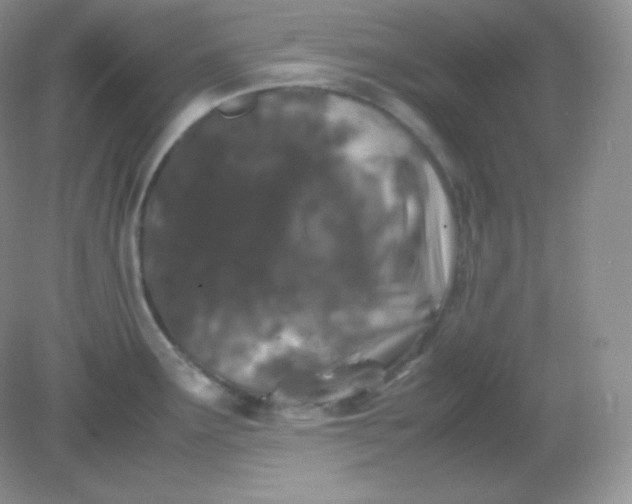 X0000082171291200702021717