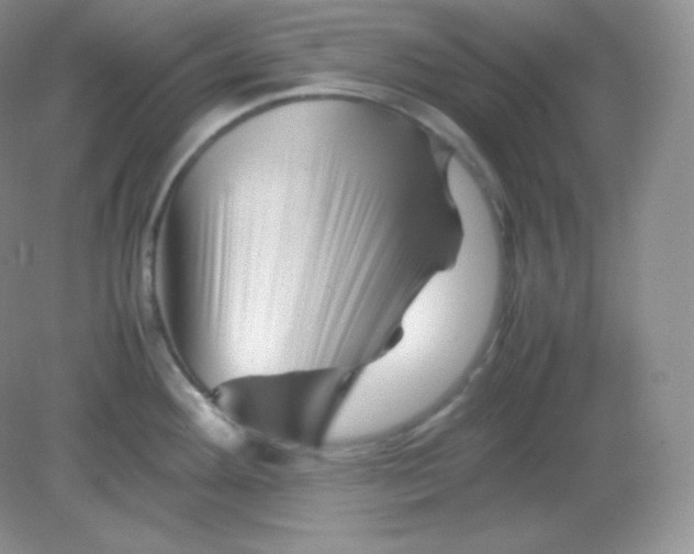 X0000082171292200702021717