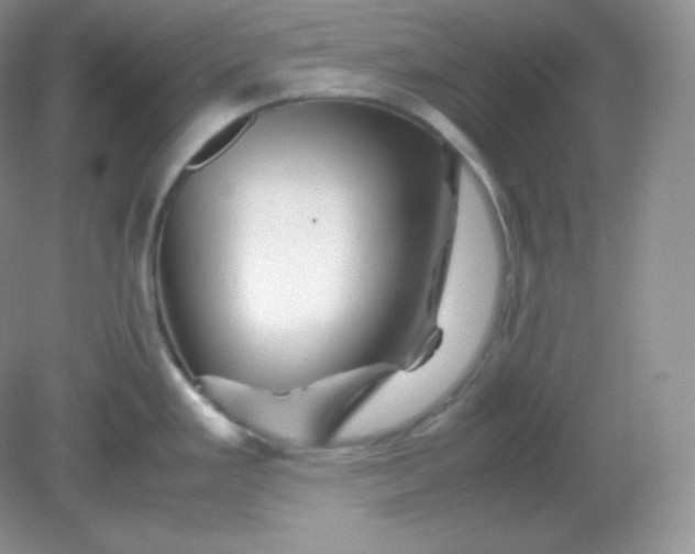 X0000082171293200702021717