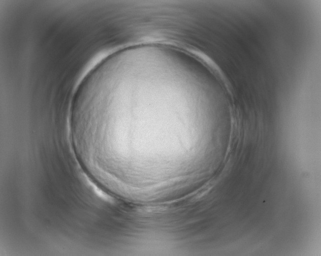 X0000082171294200702021717