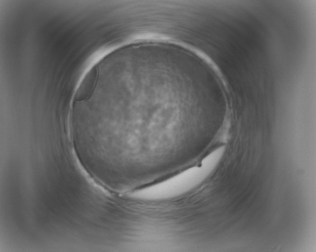 X0000082171295200702021717