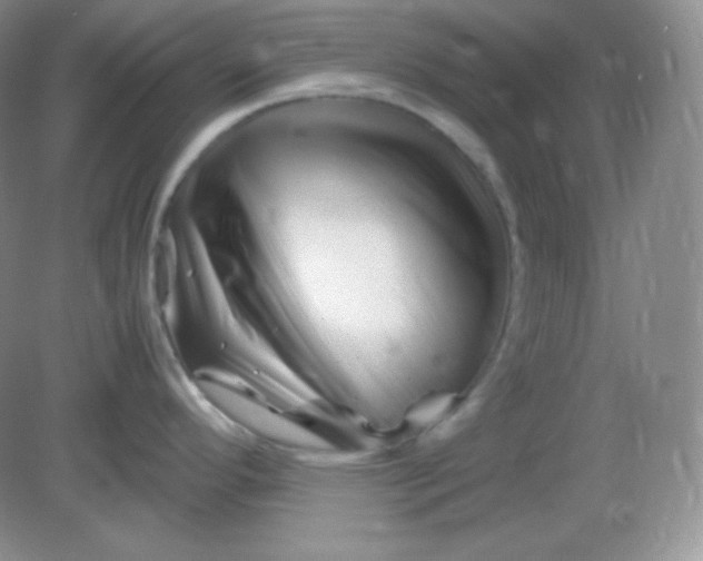 X0000082171296200702021717