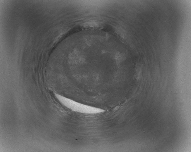 X0000082171297200702021716