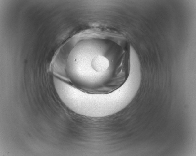 X0000082171298200702021716