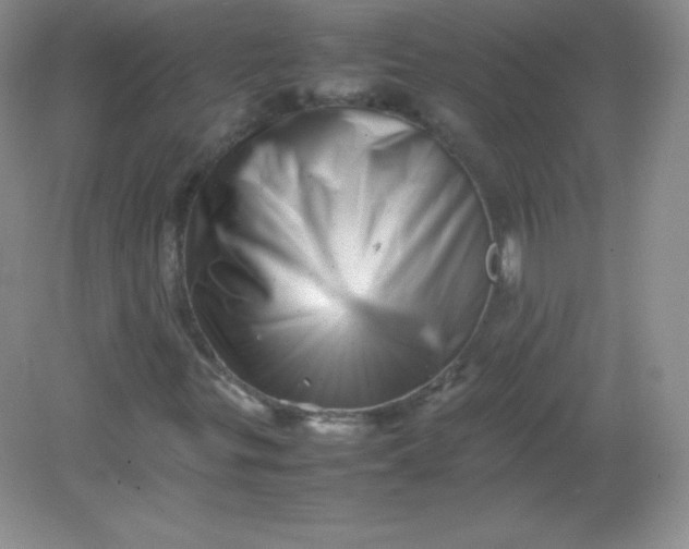 X0000082171299200702021716