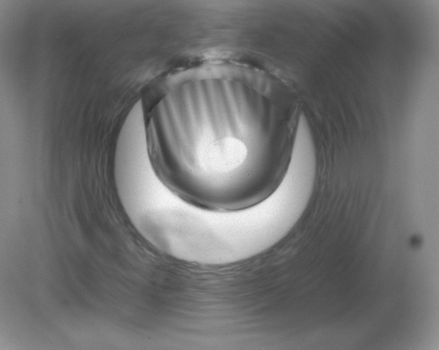 X0000082171300200702021716