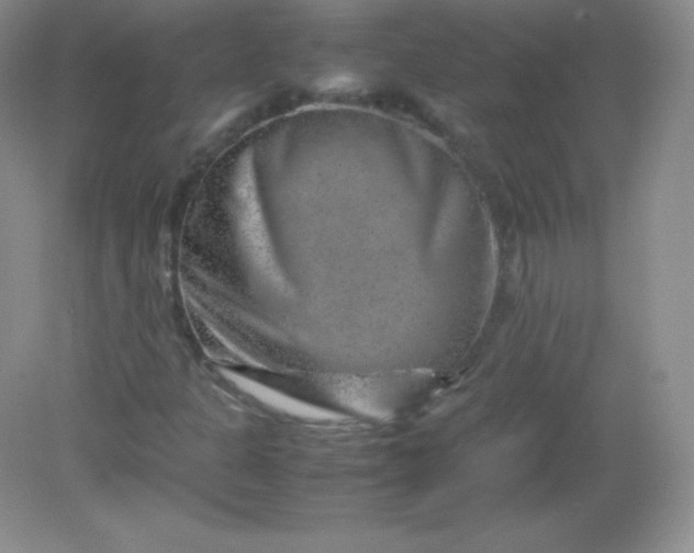 X0000082171301200702021716