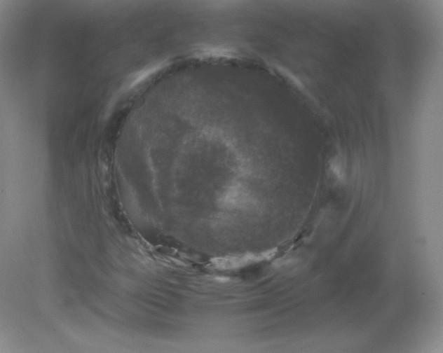 X0000082171303200702021716