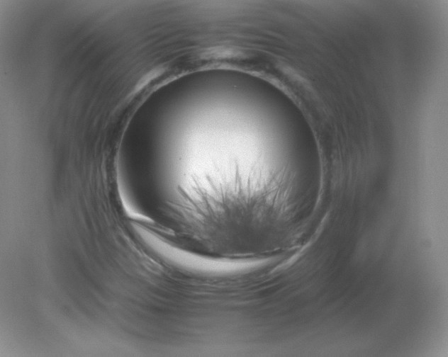 X0000082171305200702021716