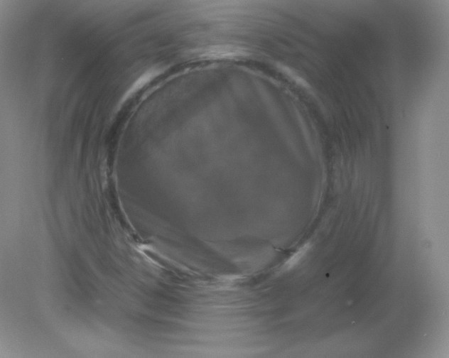 X0000082171306200702021716