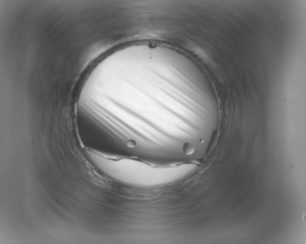 X0000082171308200702021716