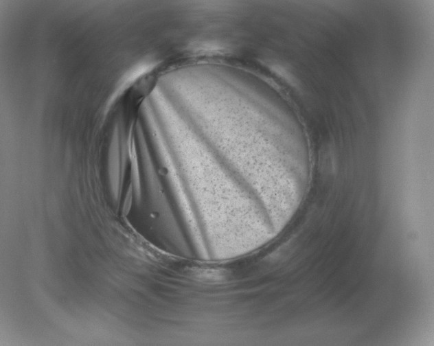 X0000082171309200702021716