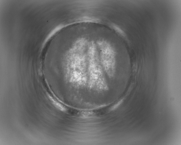 X0000082171310200702021716