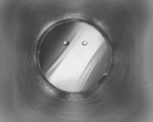 X0000082171312200702021716