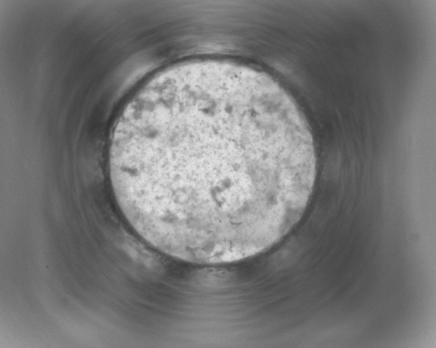 X0000082171314200702021716