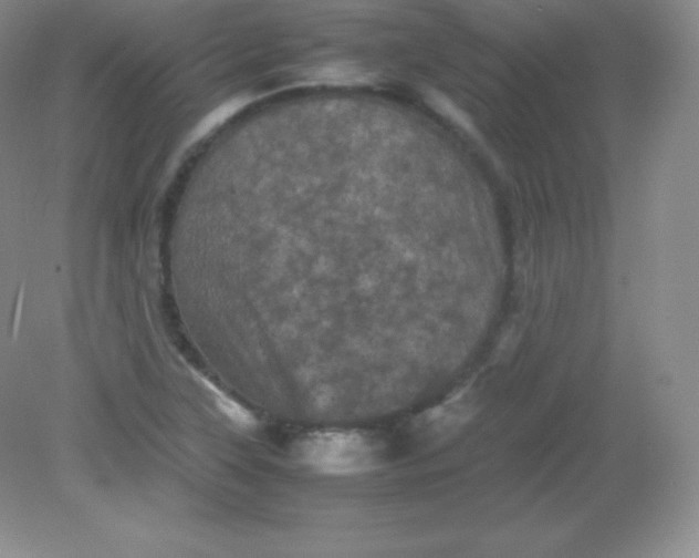 X0000082171315200702021716