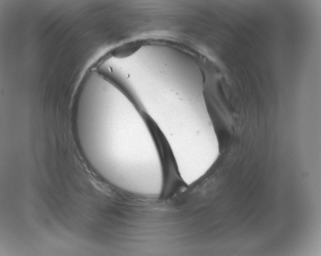 X0000082171316200702021716