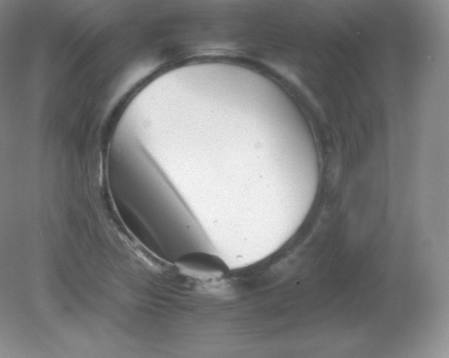 X0000082171317200702021716