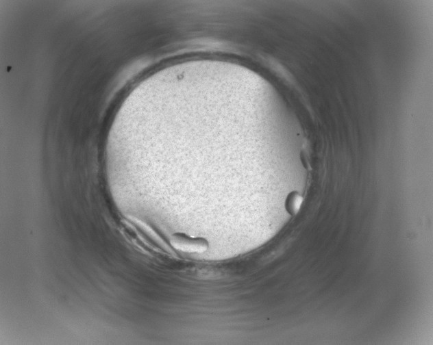 X0000082171318200702021716