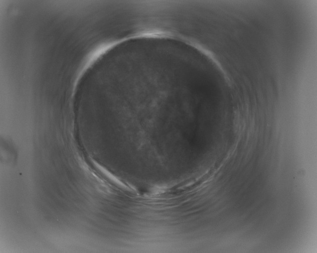 X0000082171319200702021716