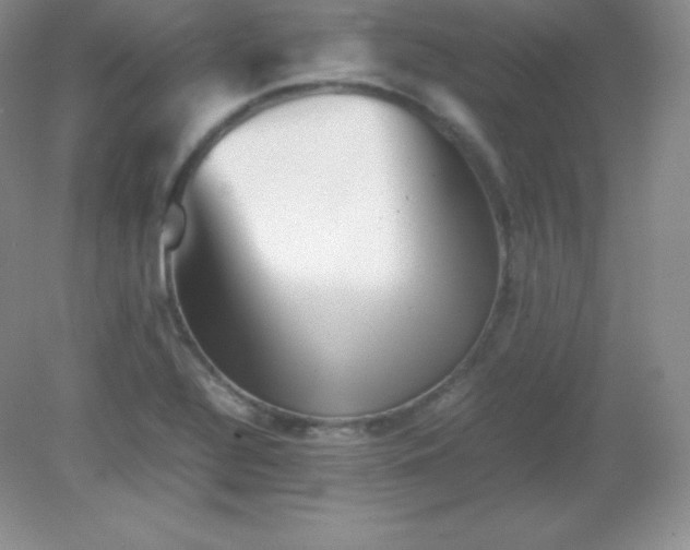 X0000082171320200702021716