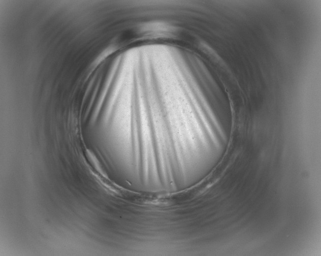 X0000082171321200702021716